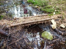 Mst pro zvířátka...